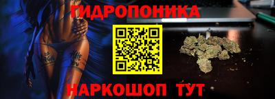 винт Кохма
